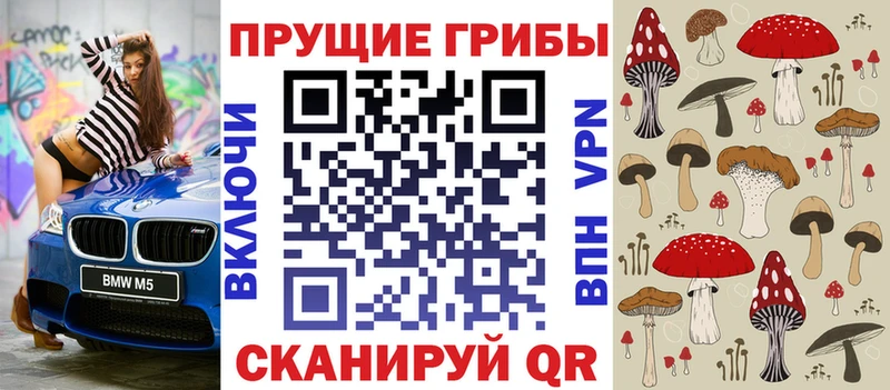 купить наркотик  Балтийск  Псилоцибиновые грибы мухоморы 