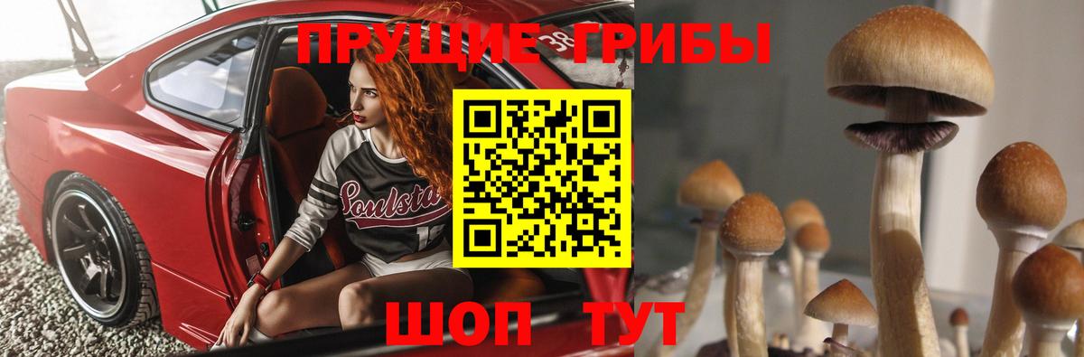 Галлюциногенные грибы мухоморы  Псилоцибиновые грибы GOLDEN TEACHER  Вход с VPN  Балтийск 